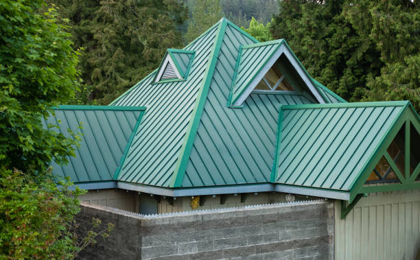 Best Gutter Installation and Repair  in Dudley, NC