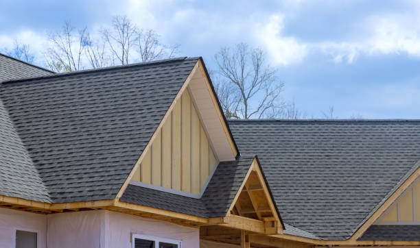 Best Roof Insulation Installation  in Dudley, NC